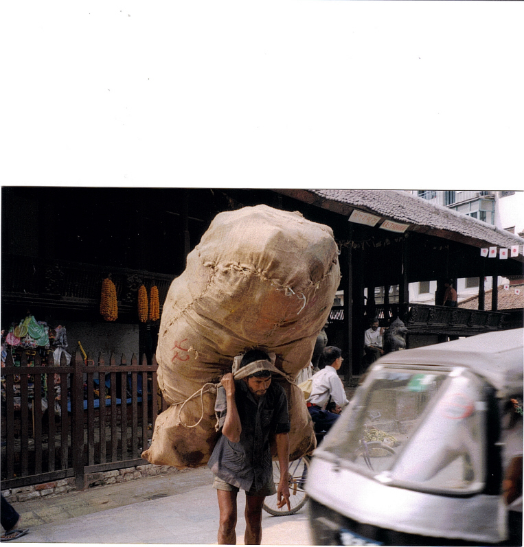 Man transporting goods in Gujarat, India