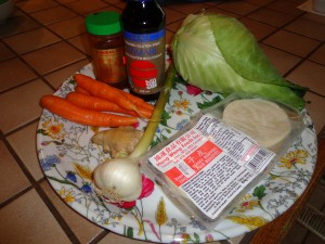 garlic, ginger,carrots, cabbage and dumpling wrappers. Fresh red chili and tamari sauce for dipping.