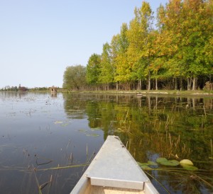 canoeing date